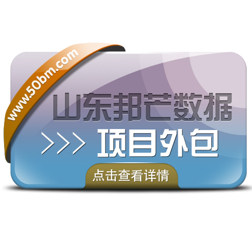 项目外包认准山东邦芒数据  为企业量身定制服务方案