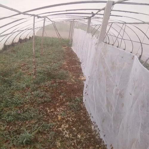 结实加厚蚂蚱养殖网新料好网工厂定做成品好网棚直发用户