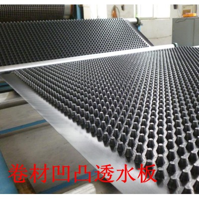 HDPE排水板//高抗冲塑料蓄排水板/厂家直销