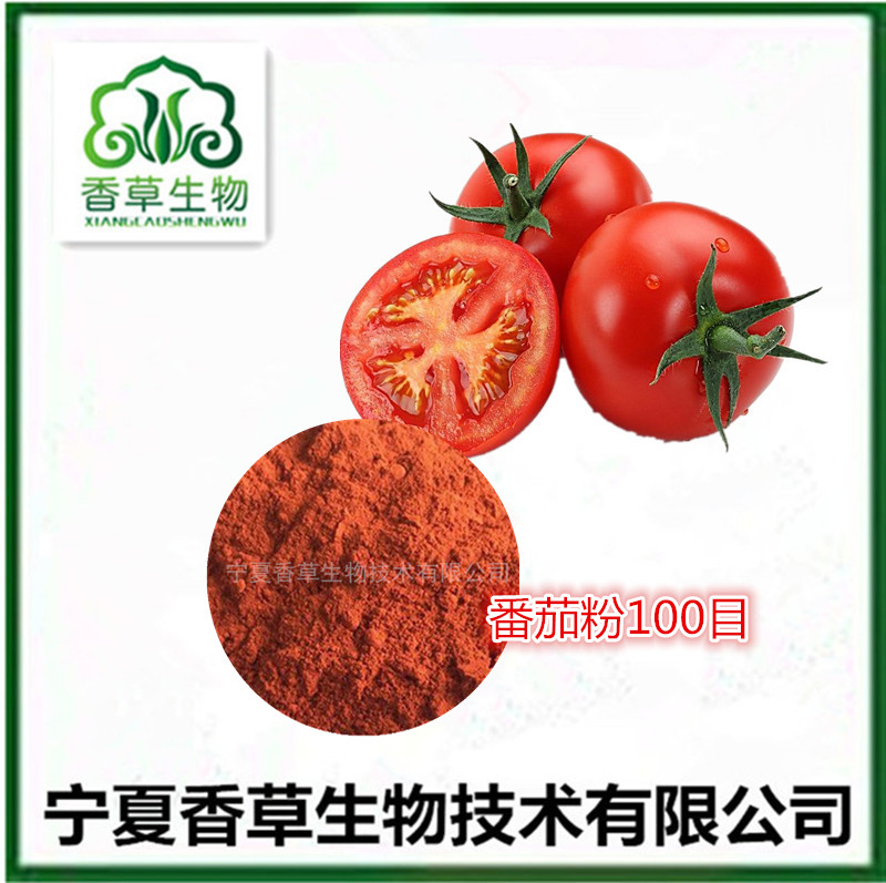 番茄提取物 浸膏粉批发厂家供应番茄浓缩汁 速溶粉120目