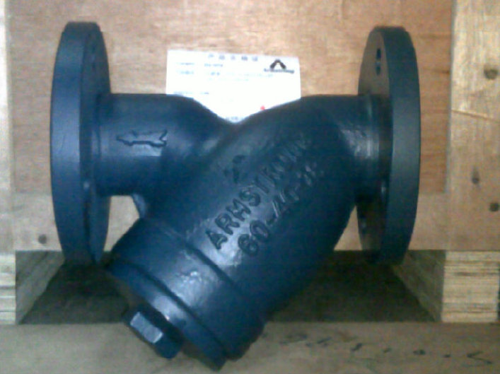 阿姆斯壮过滤器 进口Armstrong蒸汽过滤器