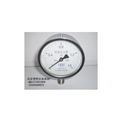 YTH100耐高温压力表