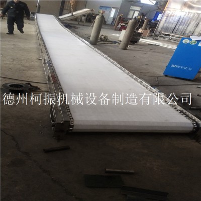 山东制造流水线式输送机 尼龙链板输送设备