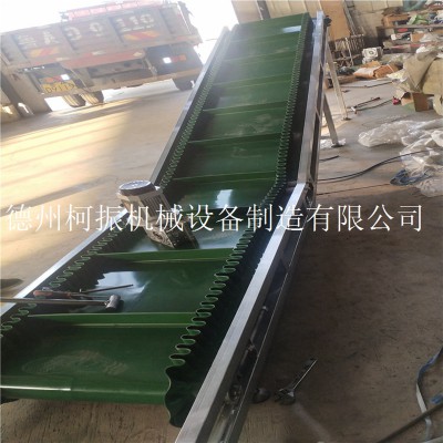 山东制造直提式上料机 裙边皮带提升机