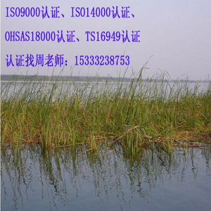 保定iso9001质量认证体系