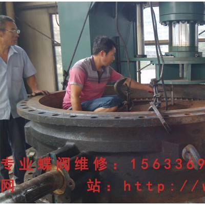 专业蝶阀维修 进口蝶阀维修