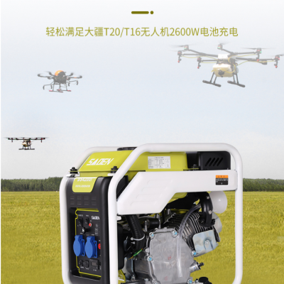 DS4200i萨登3.5KW开架发电机