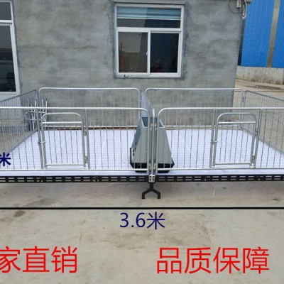 仔猪保育床 小猪用连体保育床生产厂家