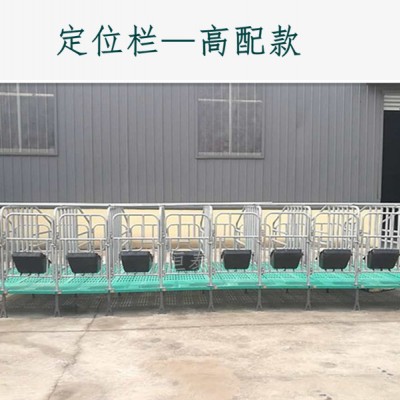 母猪限位栏  猪用全复合限位栏生产出售