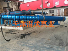 天津河道水库卧式使用-250QJW卧式潜水泵成套设备生产厂家