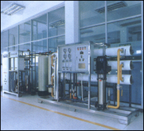 单双级反渗透水处理设备去离子纯化水edi超纯水机工业净水器