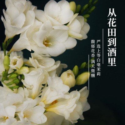 青提茉莉果酒 女士低度果蔬酒OEM159O5373071