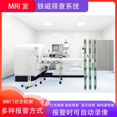 高灵敏度铁磁探测系统