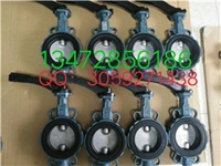 现货供应德国EBRO对夹蝶阀 手动蝶阀规格齐全速发货