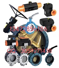 德国依博罗EBRO支耳式涡轮蝶阀Z014-A价格优惠