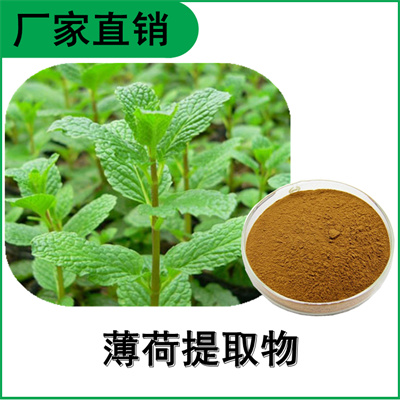 森冉生物 薄荷提取物 夜息香提取物 比例提取原料粉