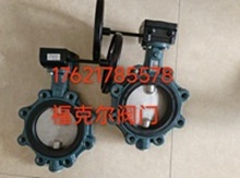 原装正品依博罗Z014-A型EBRO支耳式蝶阀