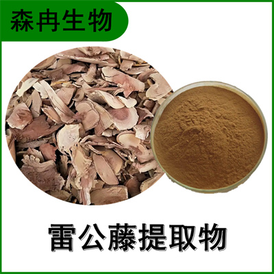 森冉生物 雷公藤提取物 黄藤根提取物 比例提取原料粉