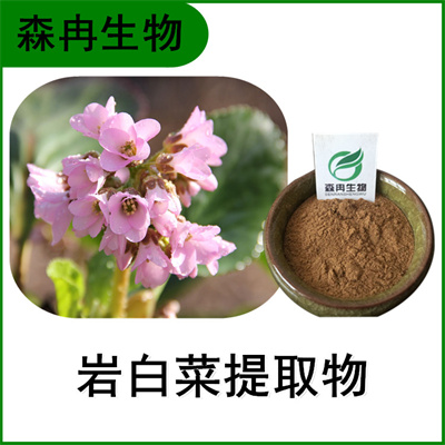 森冉生物 岩白菜提取物 石白菜提取物 比例提取原料粉