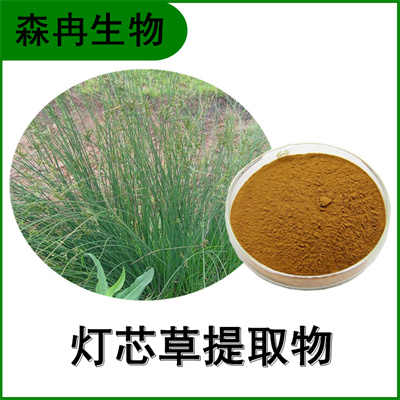 森冉生物 灯芯草提取物 龙须草提取物 比例提取原料粉