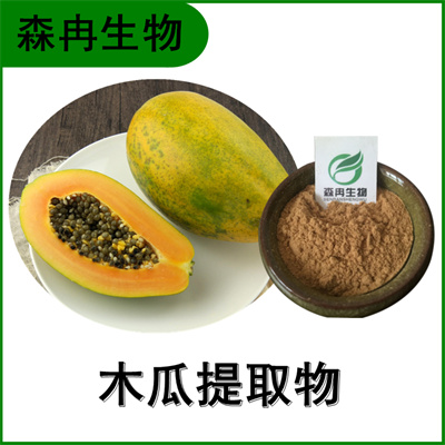 森冉生物 木瓜提取物 木瓜粉 木瓜酵素粉 植物提取原料粉