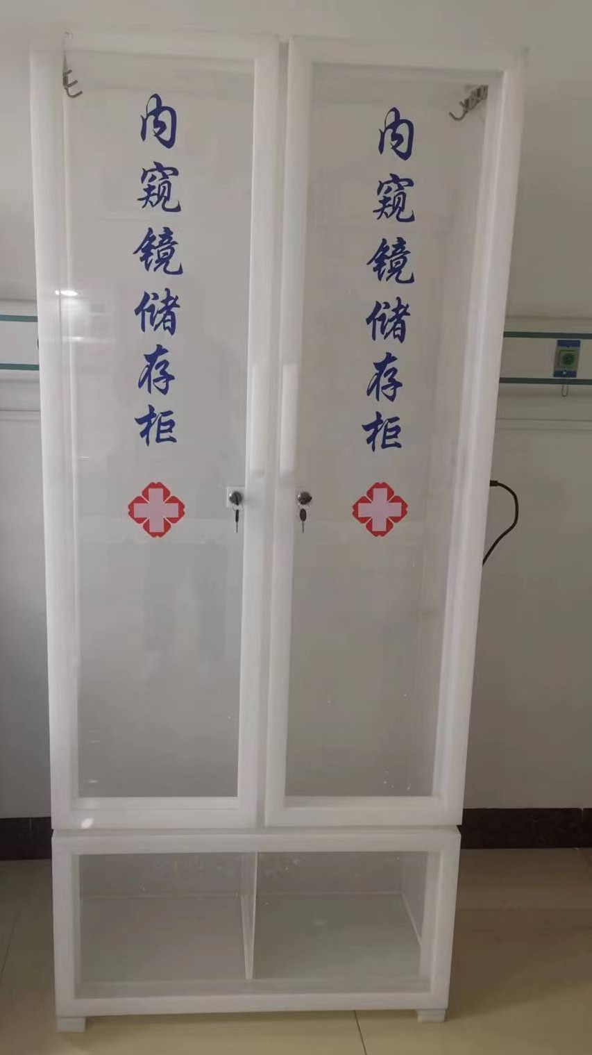 有机双门储存柜 有机柜支持定制